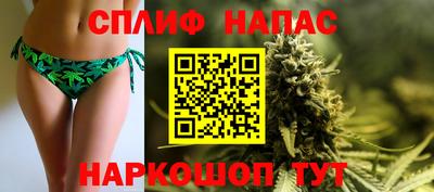хмурый Кингисепп