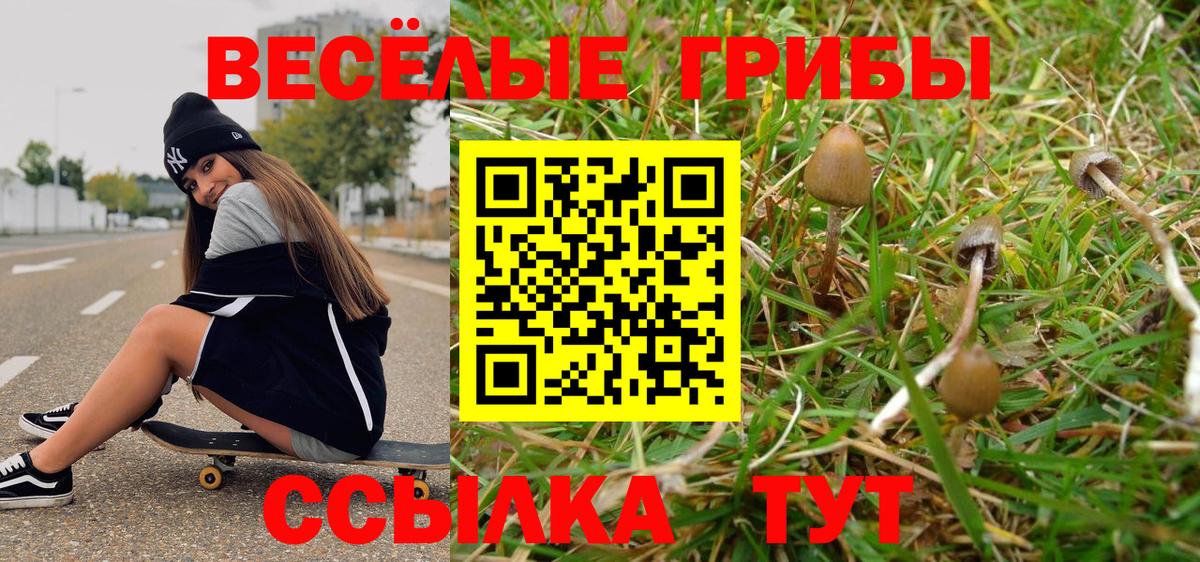 Псилоцибиновые грибы GOLDEN TEACHER  Галлюциногенные грибы MAGIC MUSHROOMS  Костомукша  Вход с VPN 