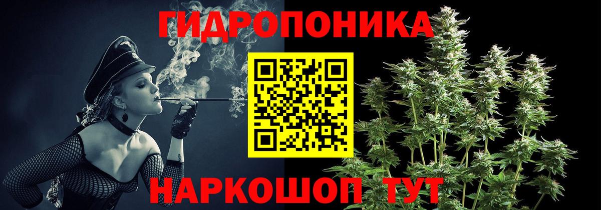 Шишки марихуана семена Костомукша